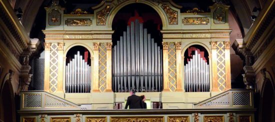 Organo - Giuseppe Bernasconi 1859